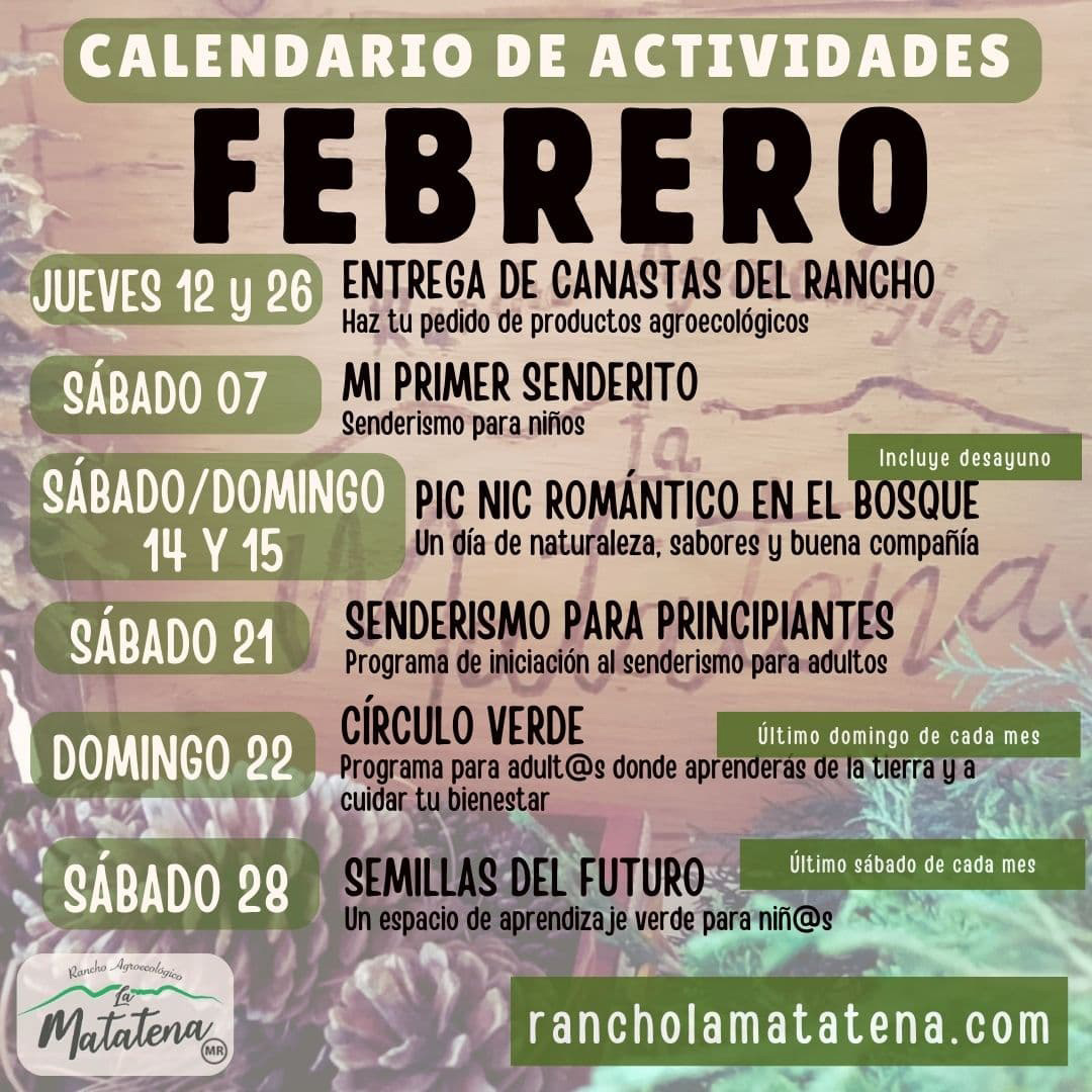 Calendario de actividades